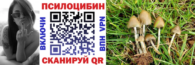 Псилоцибиновые грибы MAGIC MUSHROOMS блэк спрут онион Семёнов